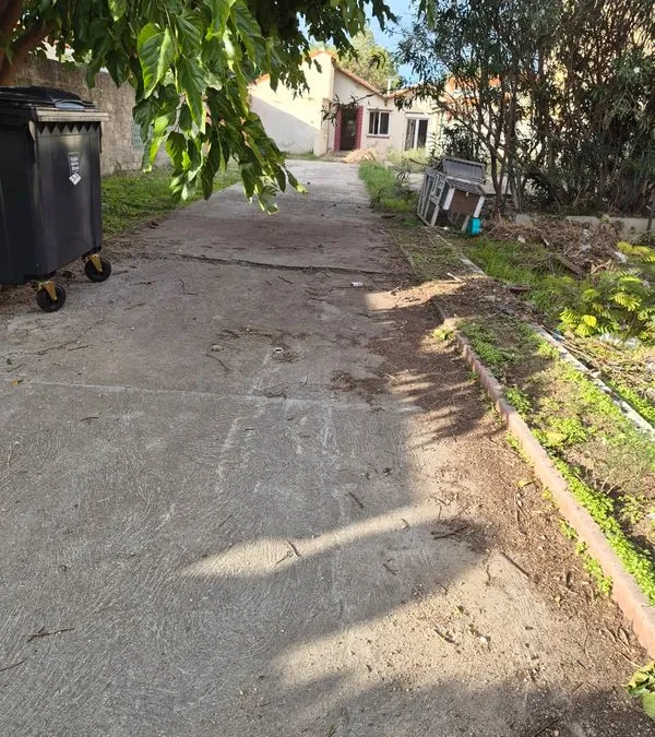 Photo 3