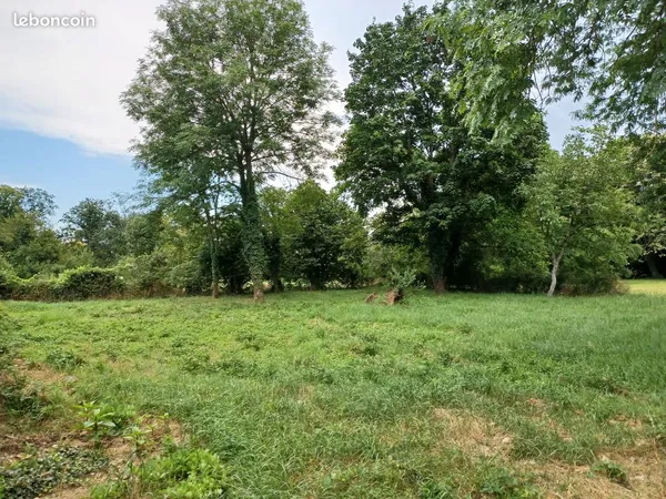 Terrain à bâtir