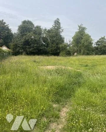 Terrain 1001 m²