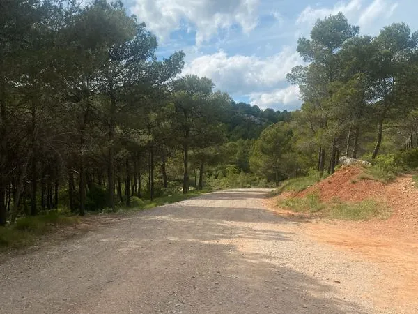 Terrain agricole