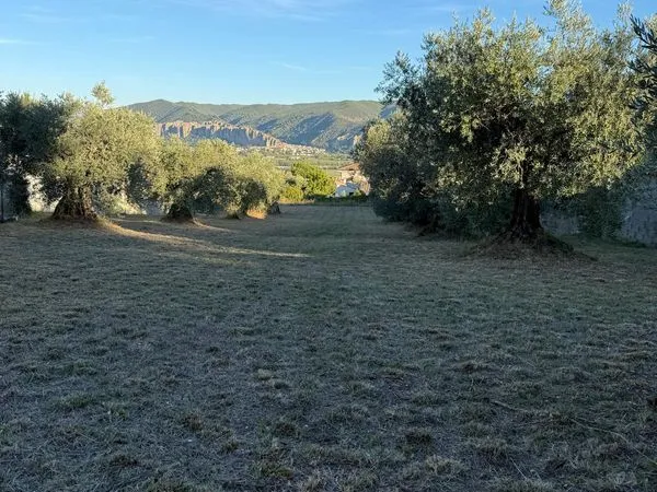 Magnifique Terrain Constructible viabilisé