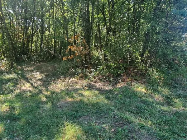 Terrain 2 900 m² Domme
