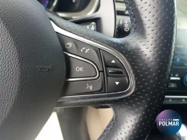 Renault Megane 1.6 tce 205ch energy gt edc — photo 15