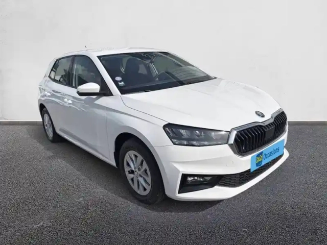 Skoda Fabia 1.0 tsi 110 ch dsg7 — photo 10