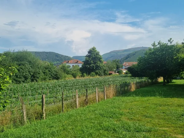 UN BIEN UNIQUE SUR LE SECTEUR — CADRE CAMPAGNE & VUE MONTAGNES