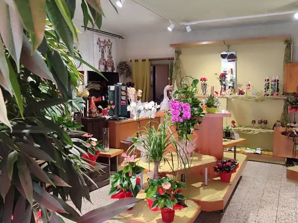 Fond de commerce fleuriste