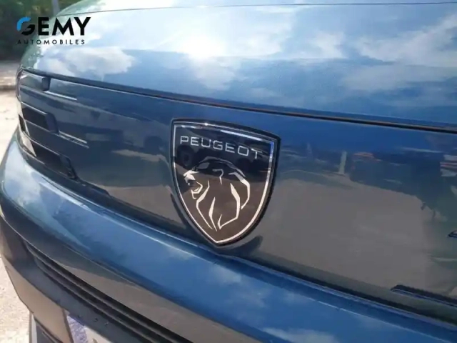 Peugeot Partner fgn diesel 130 ch m manuelle — photo 17