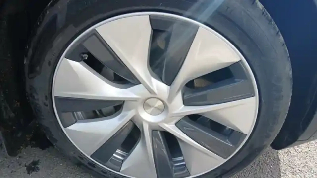Tesla Model Y standard rwd — photo 36