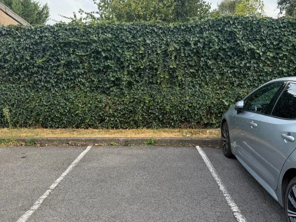 Place de parking à louer