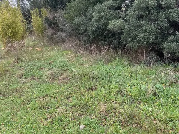 Terrain 547 m²