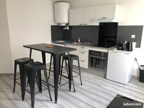 Appartement T2 entièrement rénové centre ville