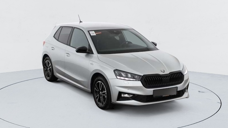 Skoda Fabia — photo 12