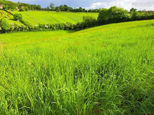 TERRAIN DE LOISIRS 8760m2 à URZY
