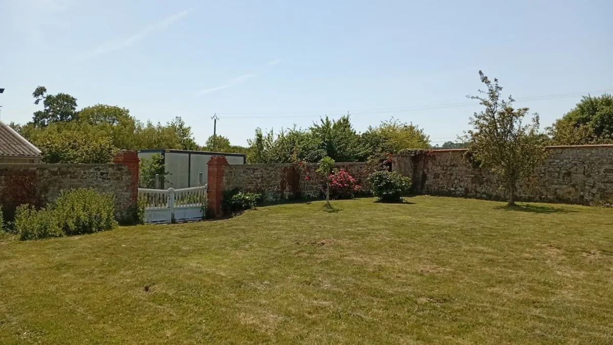 Photo 5