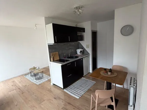 Appartement studio meublé entièrement refait à neuf- balcon et parking privatif- proche frontière Su