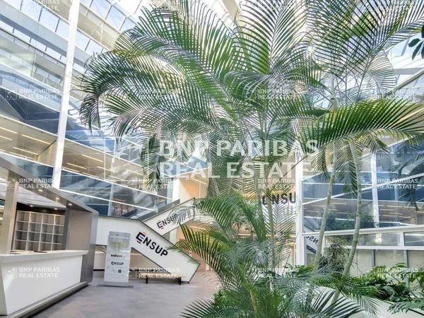 Bureaux 2377 m²
