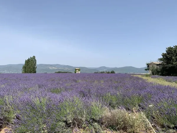 Terrain à bâtir 290 m² : Montélimar Nord "Les Clées"