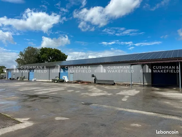 Local 1 200 m²