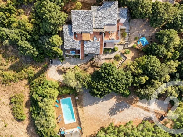 Achat : Maison Patrimonio (20253)