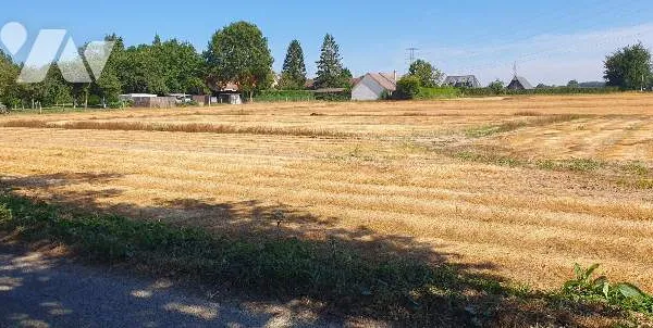 Terrain 1000 m²