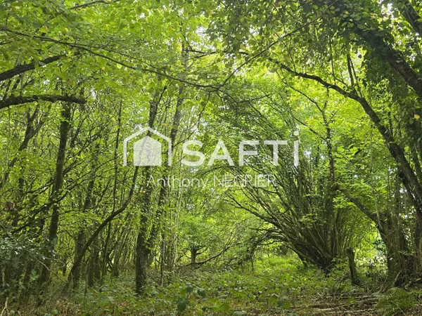 Terrain Vente La Coulonche 3130m² 5000€