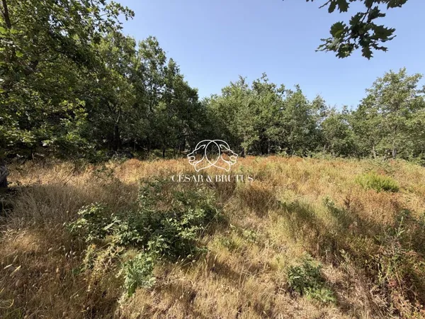 Vends terrain - 974 m² - Murato 20239