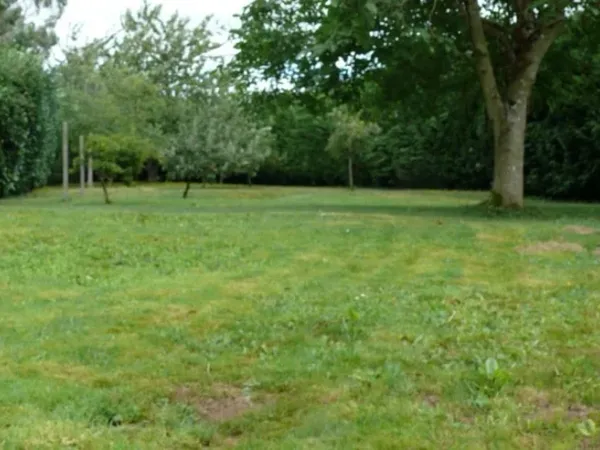 Terrain 704 m²
