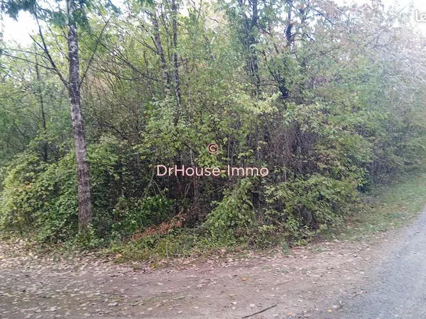 Terrain 12791 m² clere les pins