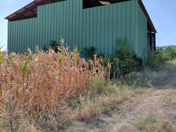Batiment agricole