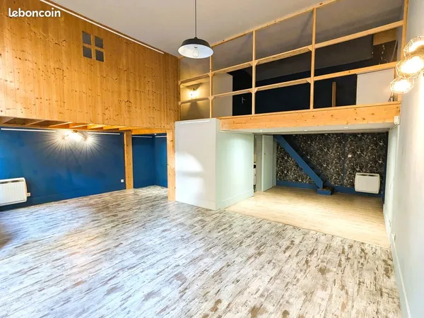 LOCAL MIXTE ACTIVITE ET LOGEMENT hyper-centre