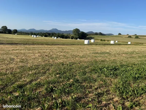 Terrain à Bâtir / Constructible - 1000 m2 - Vernines - Vue imprenable sur la Chaîne des Puys - Terra