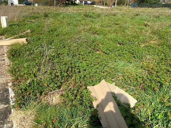 Terrain 779 m²
