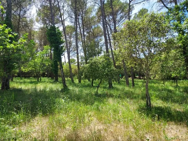 Terrain 847 m²