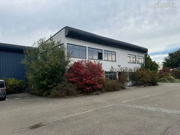 Wittenheim Hall 1400 M2 loué sur 41 ares