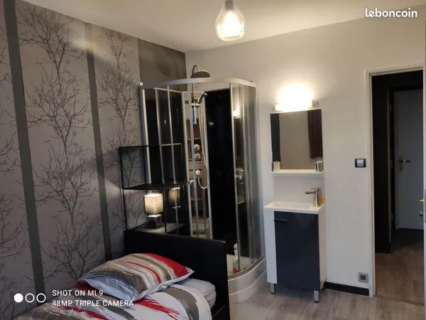 Chambre lumineuse dans colocation de standing avec douche et lavabo privatifs - Orléans Centre
