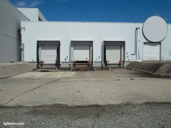 Local 540 m2