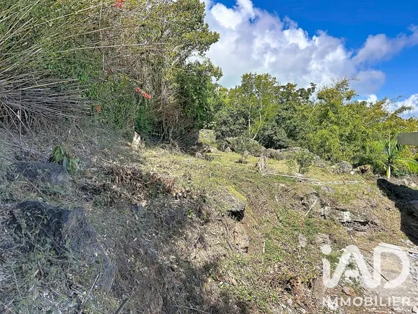 Terrain 700 m²