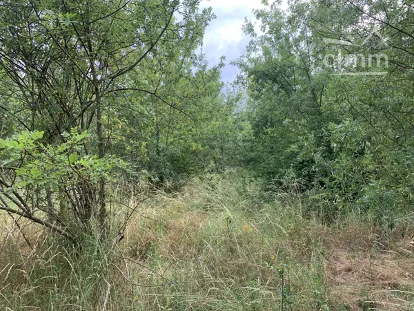 À vendre terrain de 44 000 m² en bordure de rivière