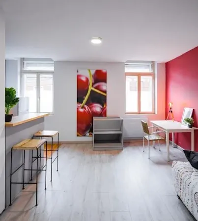 Studio 1 pièce 24 m²