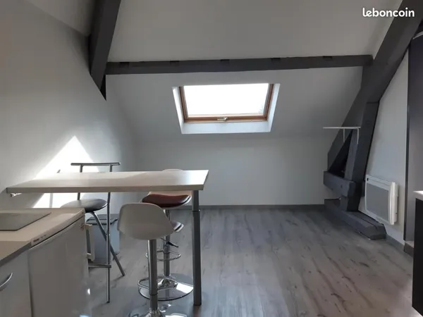 Appartement 1 pièce 25 m²