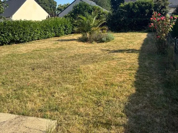 Location maison pancé