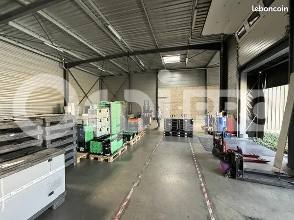 Local d'activité 500 m²