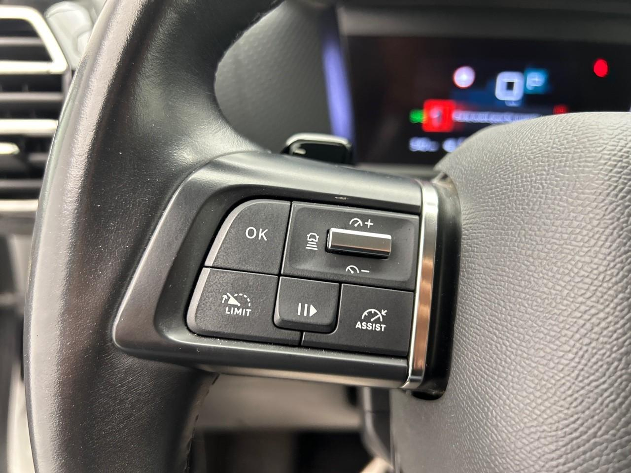 Citroën C4 bluehdi 130 s&s eat8 shine pack — photo 23