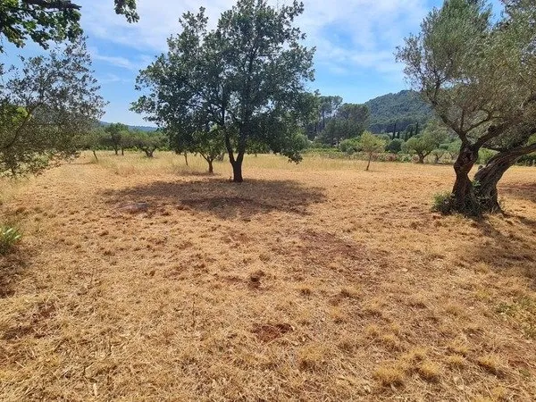 Terrain à vendre CUERS (83)