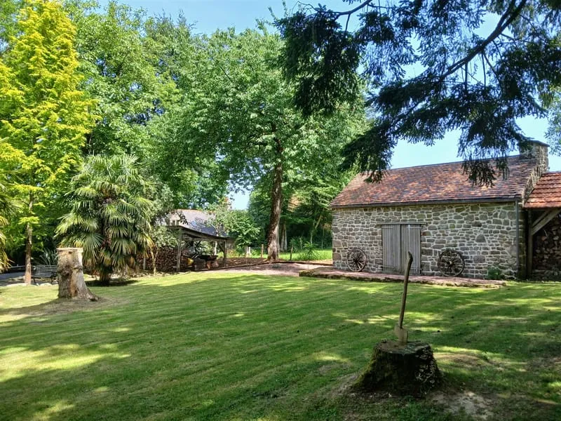 Photo 45