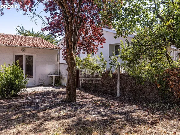 Immeuble 2 pièces 50 m²
