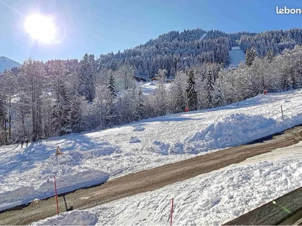 Appartement 35m2 sur pistes et proche village