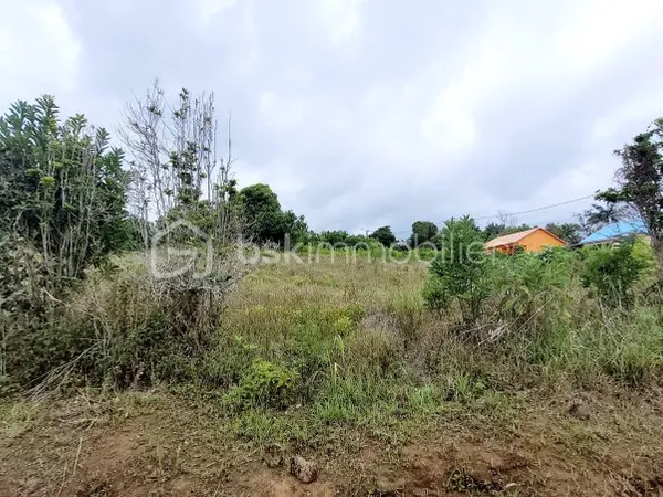 Terrain 11306 m²