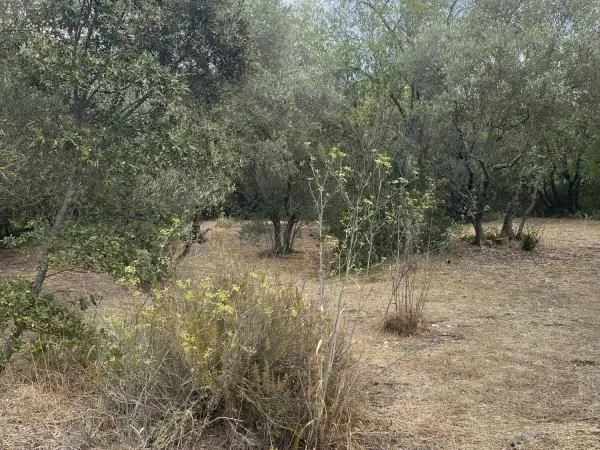 Terrain 980 m² Tourves
