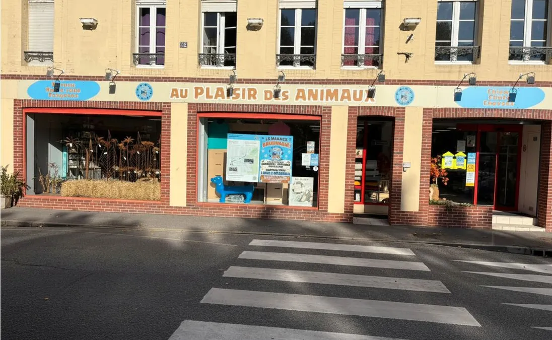 Photo 1